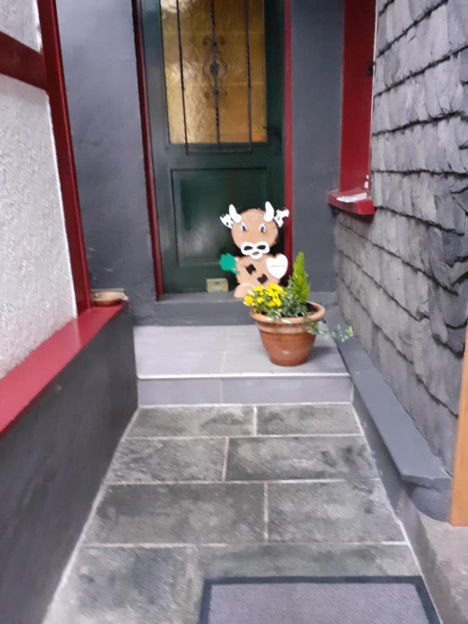 Hallerblick Monschau Dış mekan fotoğraf